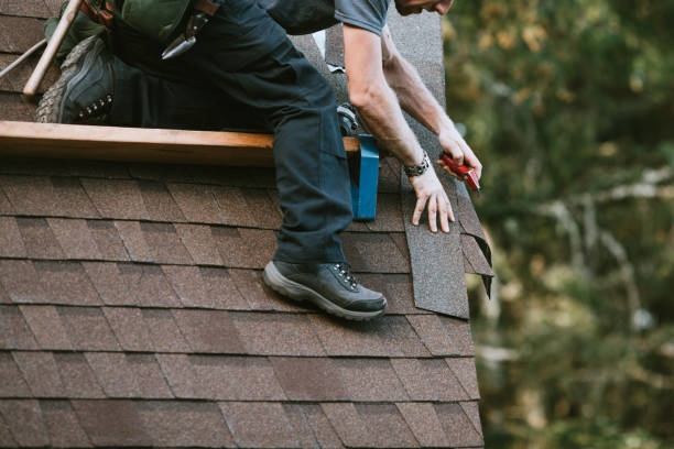 Best Residential Roof Replacement  in USA